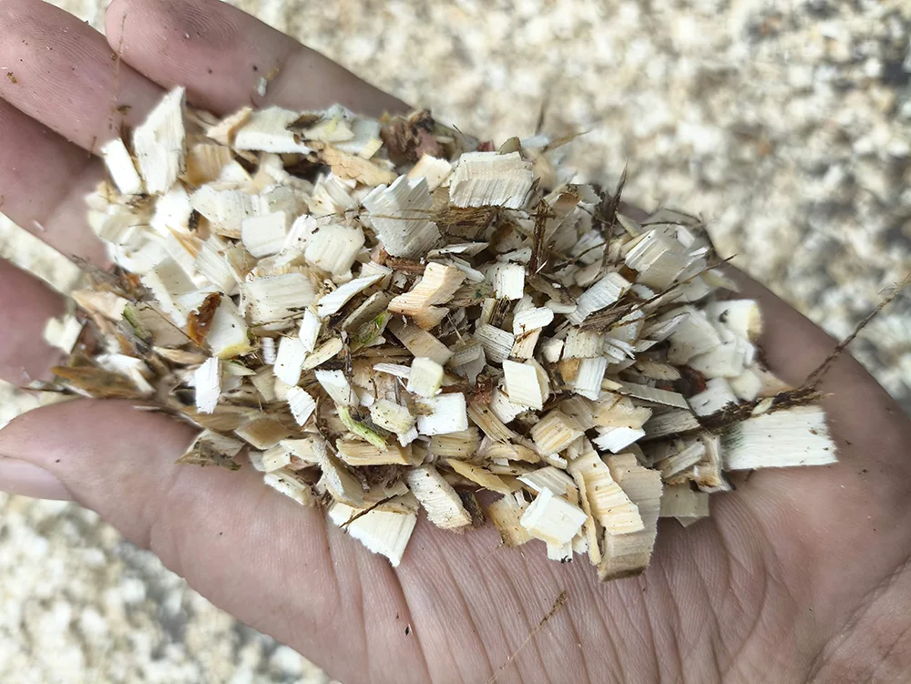 Uniform wood chips produced by a Cronus wood chipper